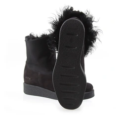 Arche comice noir