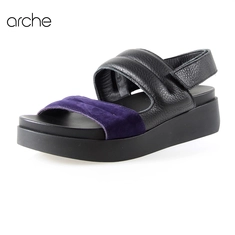 Arche myamey icare