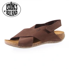 Loints of Holland 31152-261 bruin