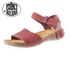 Loints of Holland 31304-385 middenbruin