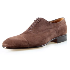 Miguel Manuel 42476 veter bisonte