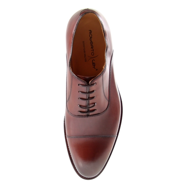 ROBERTO LEY 2400 vegano 399 cognac