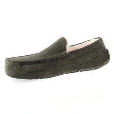 UGG ascot forest night